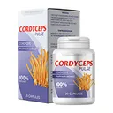 Cordyceps pulse -purkki ja pakkaus, 20 kapselia