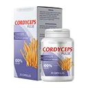 Krabička a dóza Cordyceps Pulse, 20 kapslí